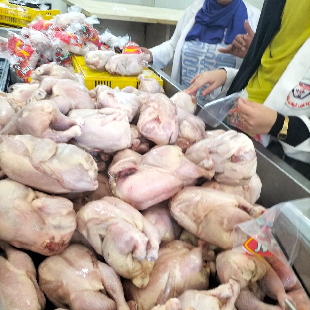 المضبوطات 07