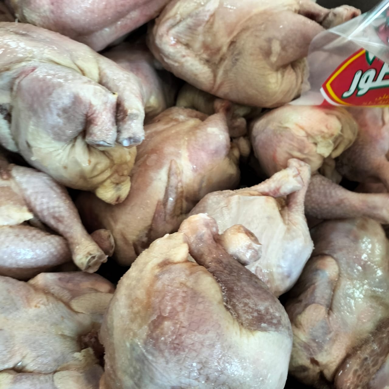 المضبوطات 08