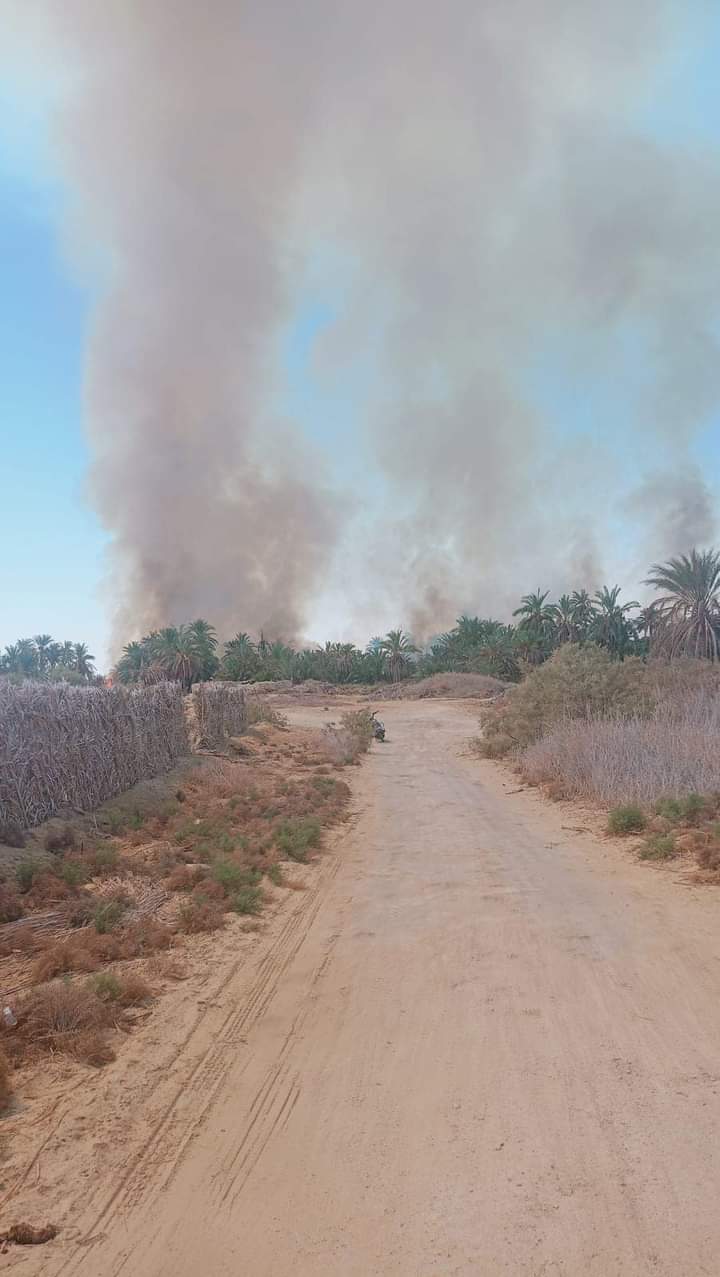 السيطرة على حريق مزارع النخل والزيتون بسيوة 