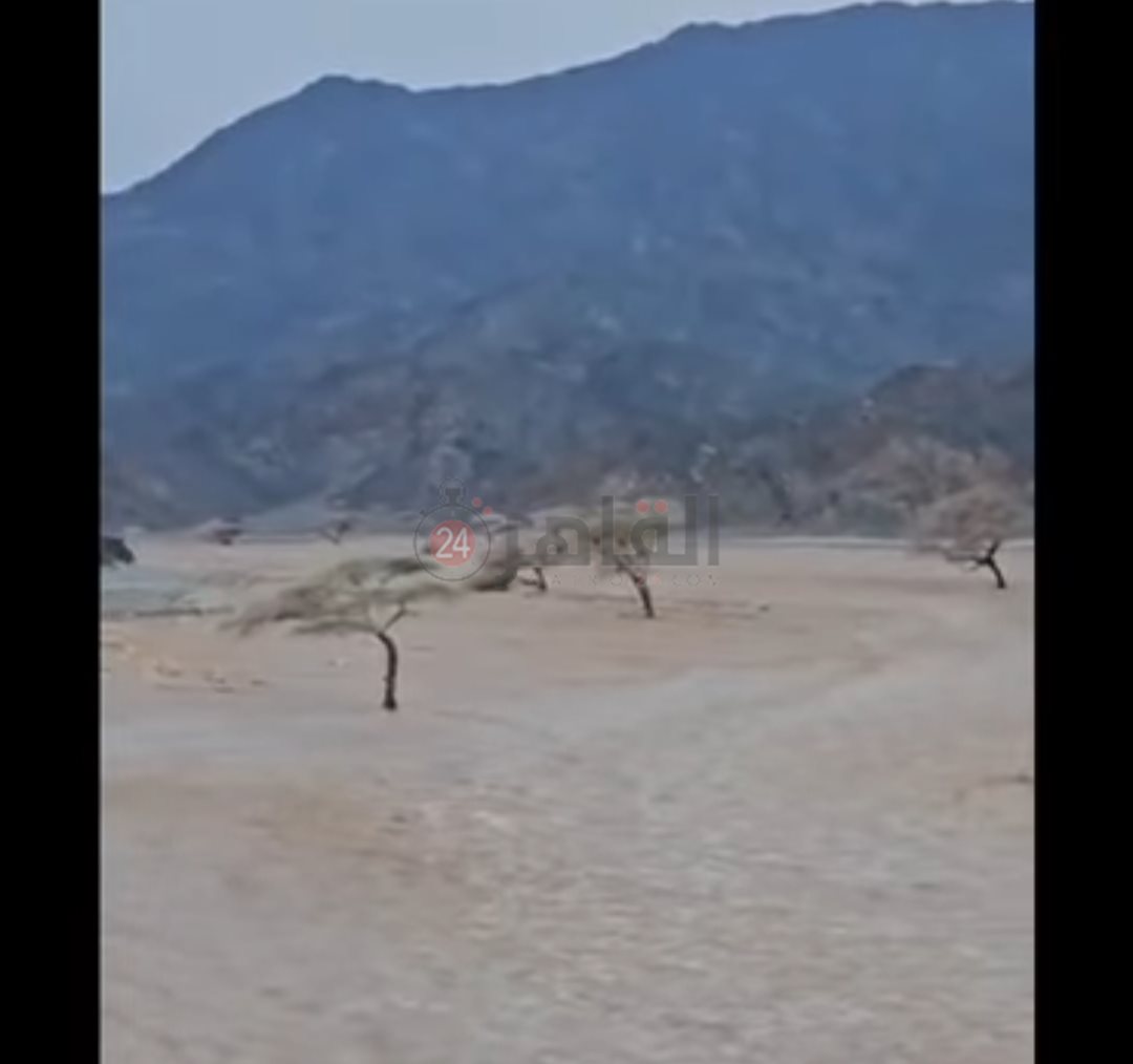 سيول غرب مدينة حلايب 