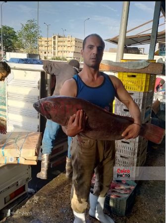 سفاح القليوبية - الأب المتهم بقتل أبناءه الأربعة