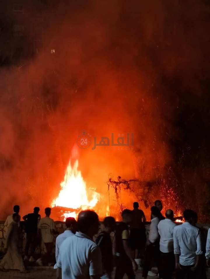 بدون إصابات ... حريق يلتهم أشجار النخيل بقرية عين السيليين بالفيوم