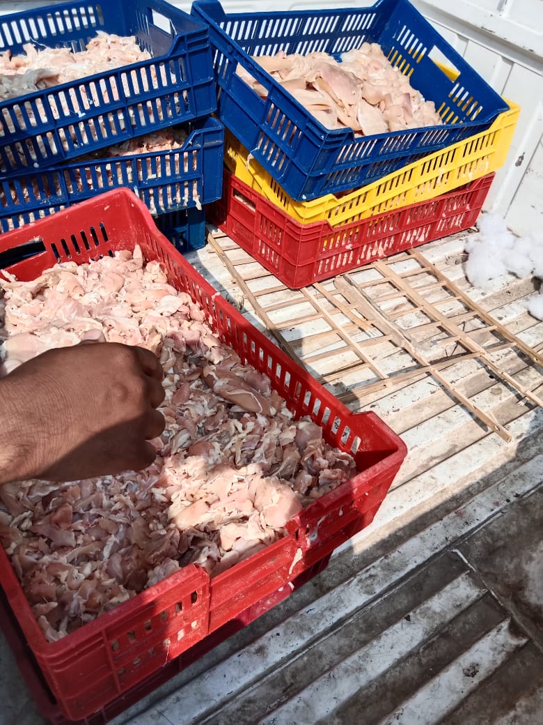 محافظ الفيوم يتابع فعاليات وأنشطة متنوعة لمديرية الطب البيطري بالفيوم خلال شهر أغسطس الماضي