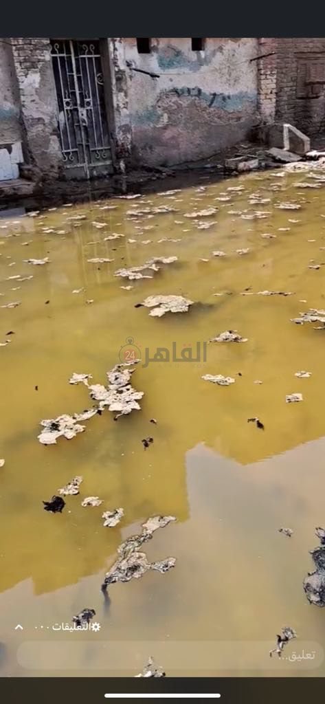 bf9fd284-0e15-45a9-8034-d7f1f99b8518 (1)