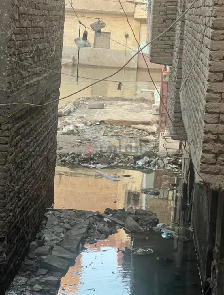 69fa8c0c-47f4-4472-b984-9a9f8f0a4574