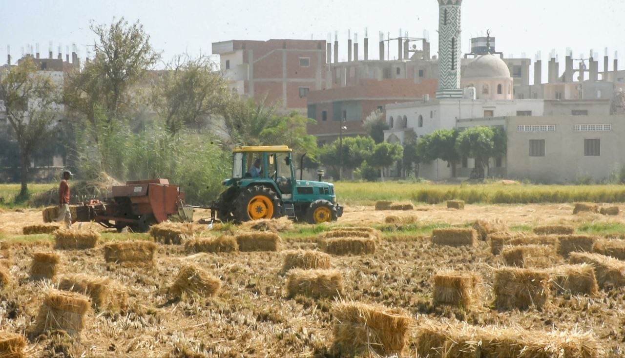 458607998_830319542605238_1619931038232379363_n