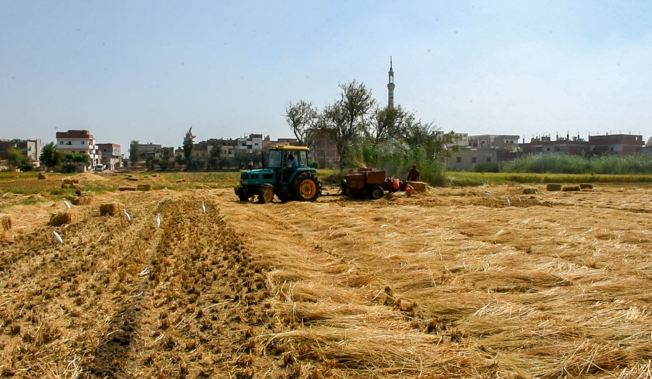 458631252_830319452605247_9160519920216919559_n