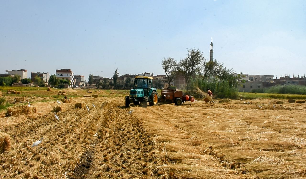 458922464_830319345938591_6566216204441632268_n