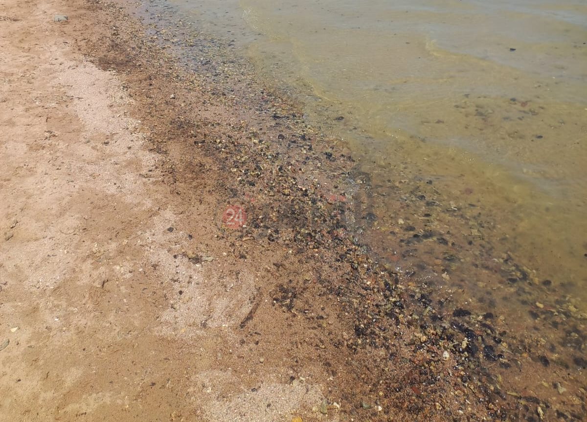 التلوث البترولي شمال الغردقة