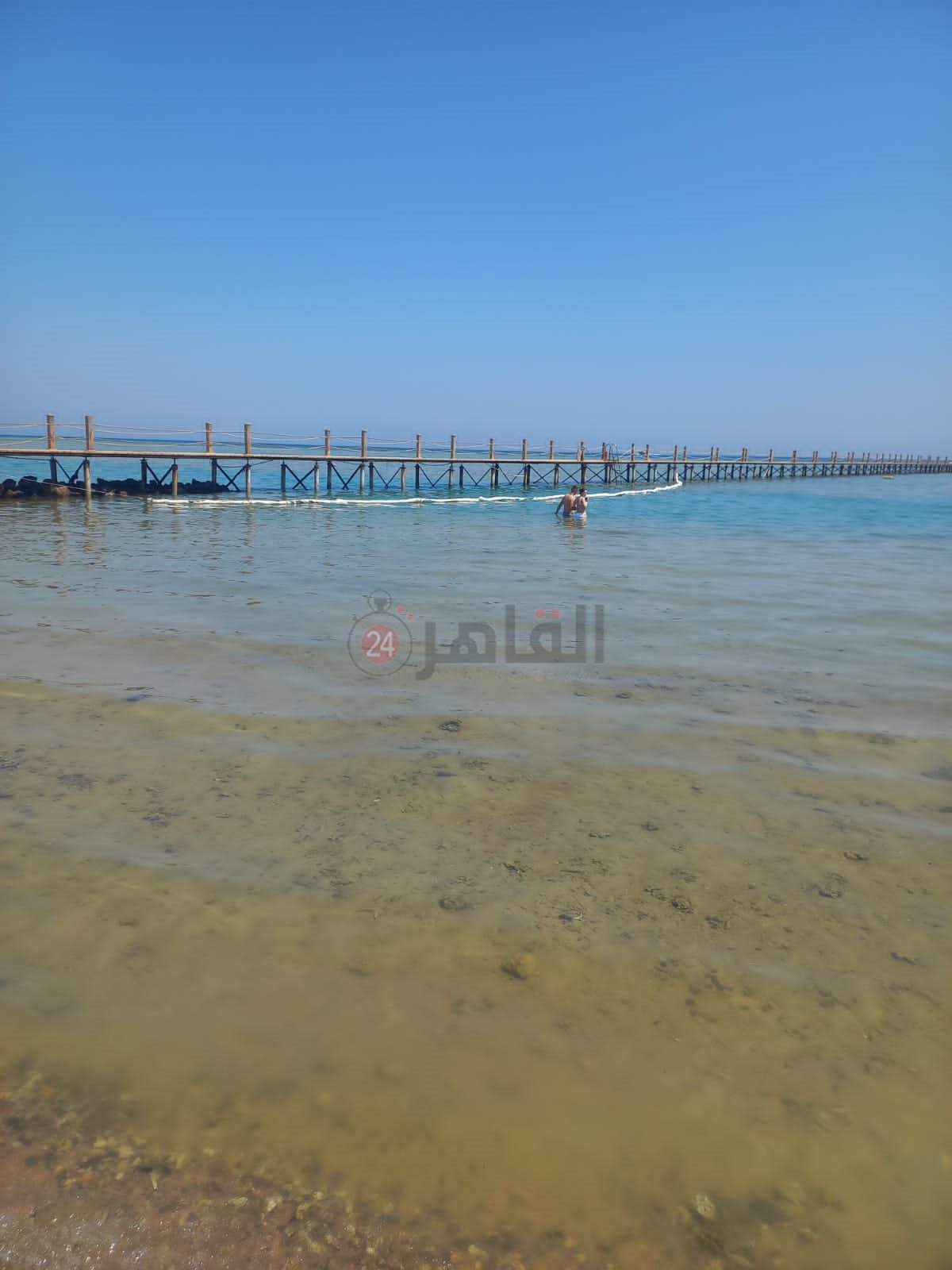 التلوث البترولي شمال الغردقة