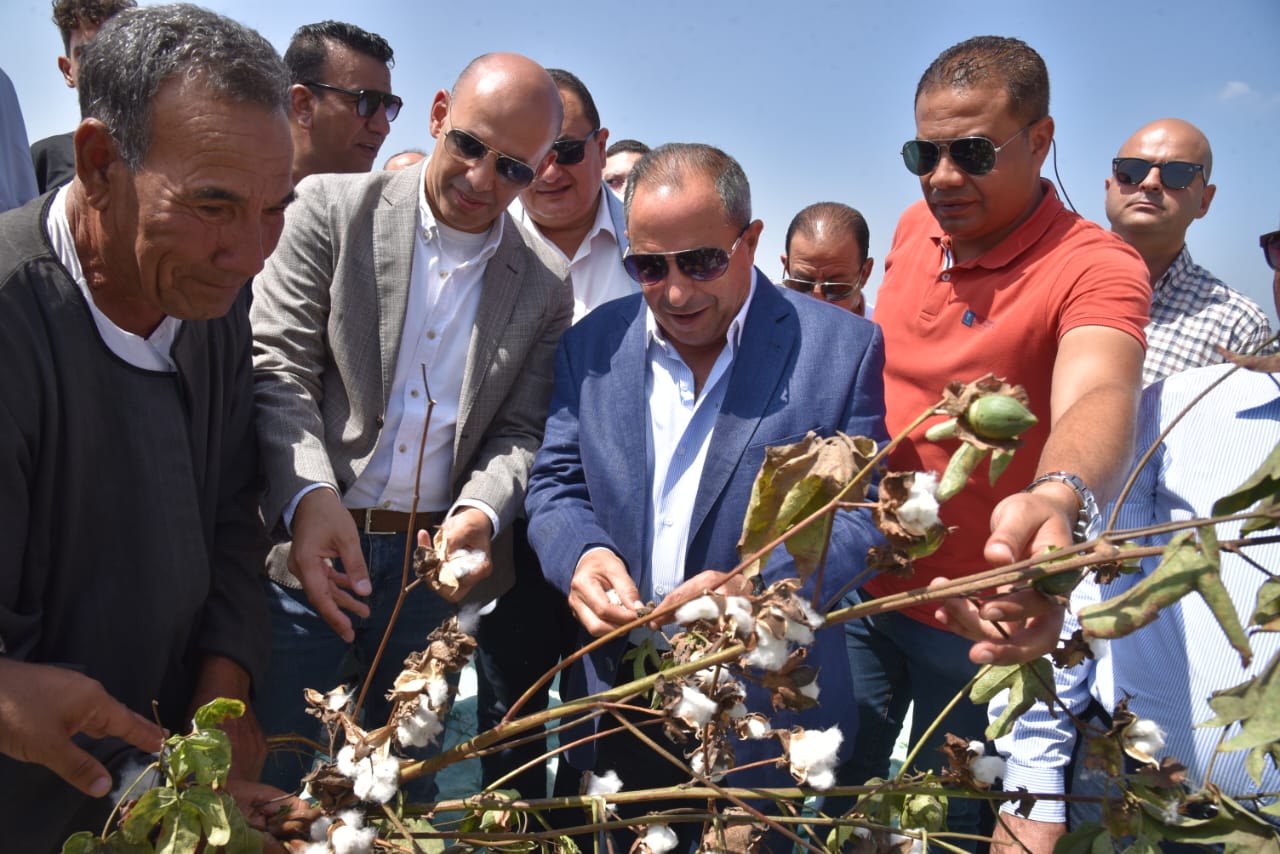 احتفال محافظة بورسعيد بعيد الفلاح 