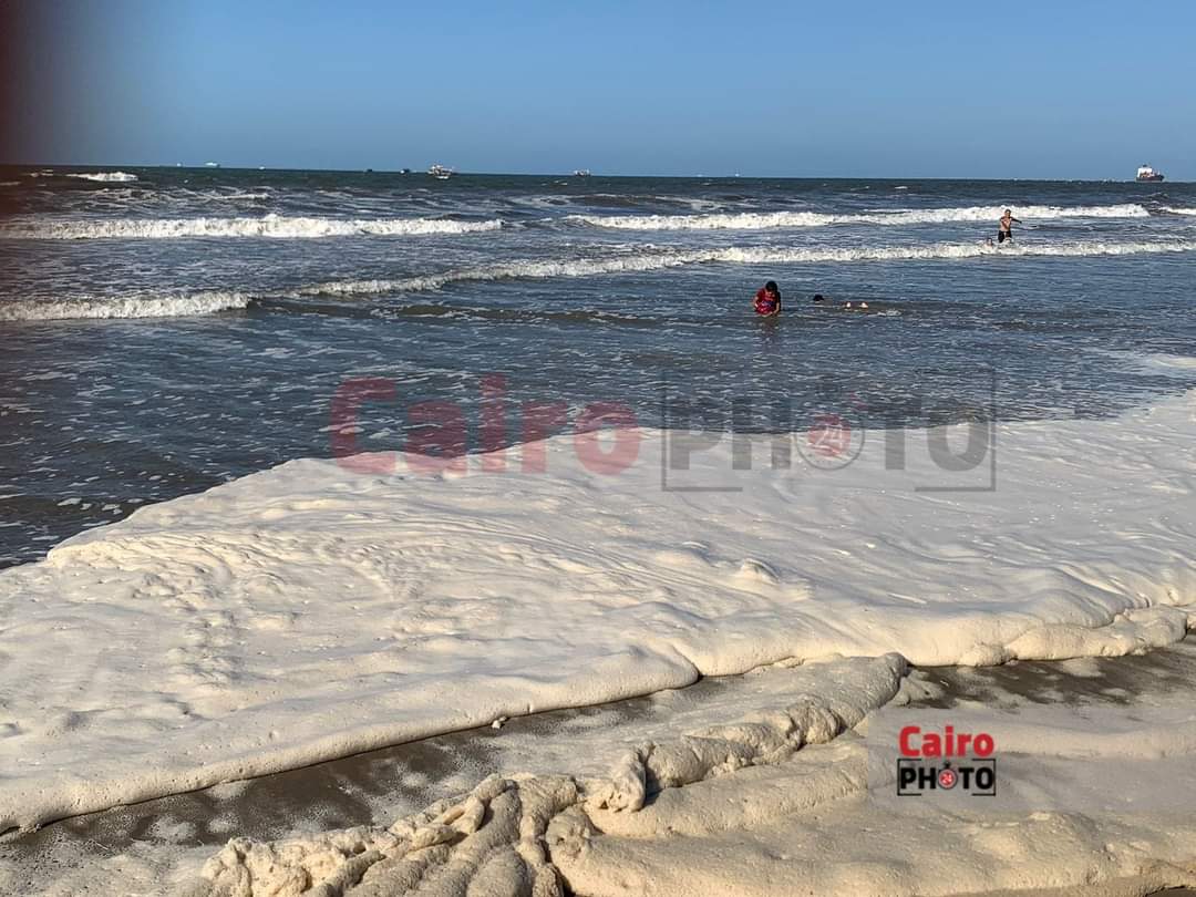 زبد البحر علي شاطئ بورسعيد 