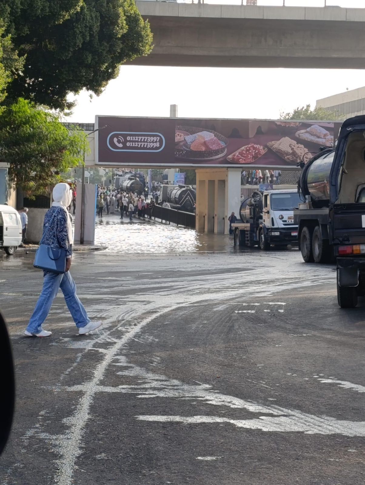 WhatsApp Image 2024-09-16 at 10.04.21 AM