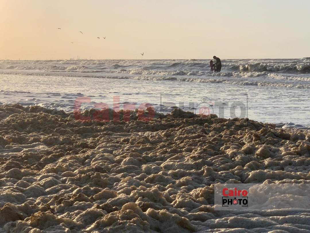 زبد البحر على شاطئ بورسعيد 