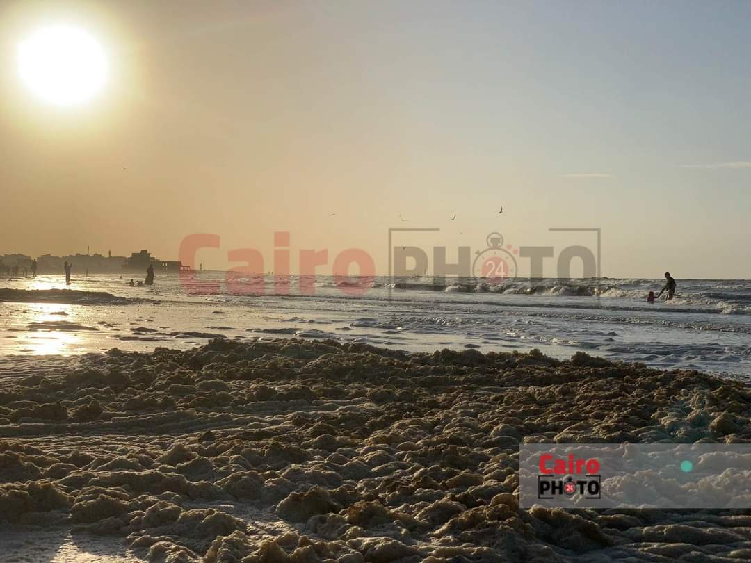 زبد البحر على شاطئ بورسعيد 