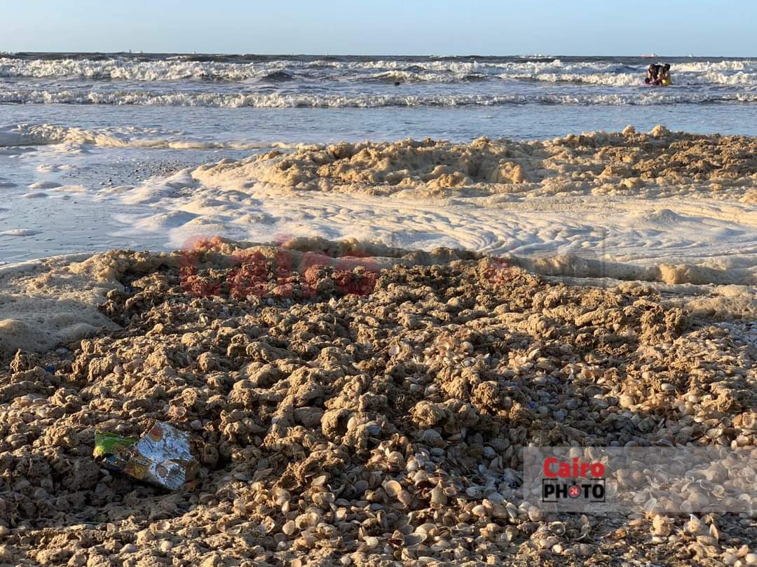 زبد البحر على شاطئ بورسعيد 