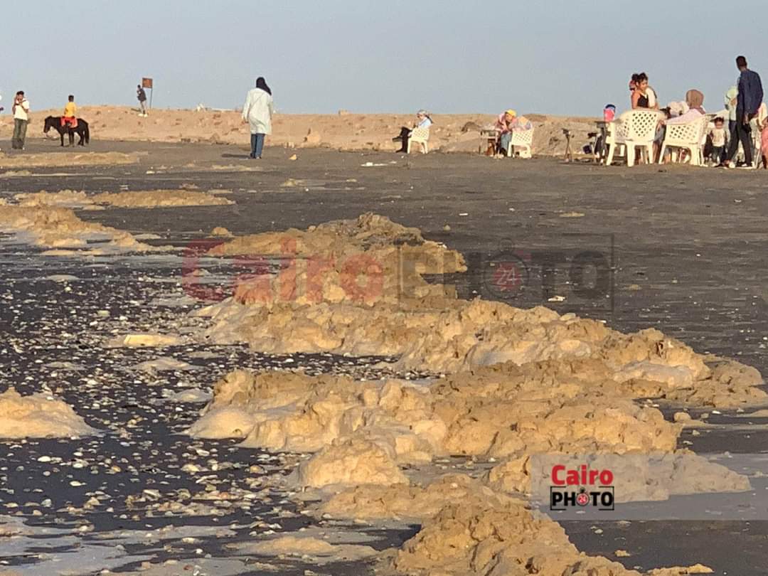 زبد البحر على شاطئ بورسعيد 