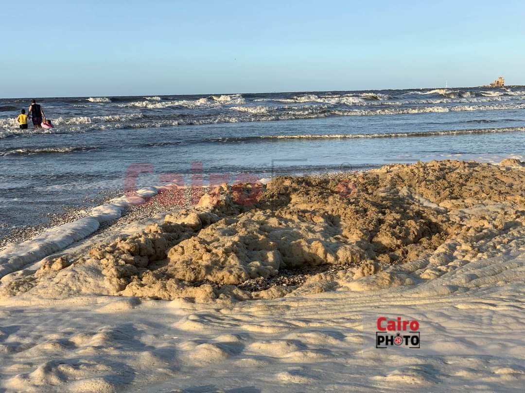 زبد البحر على شاطئ بورسعيد 
