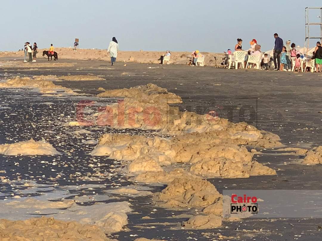 زبد البحر على شاطئ بورسعيد 