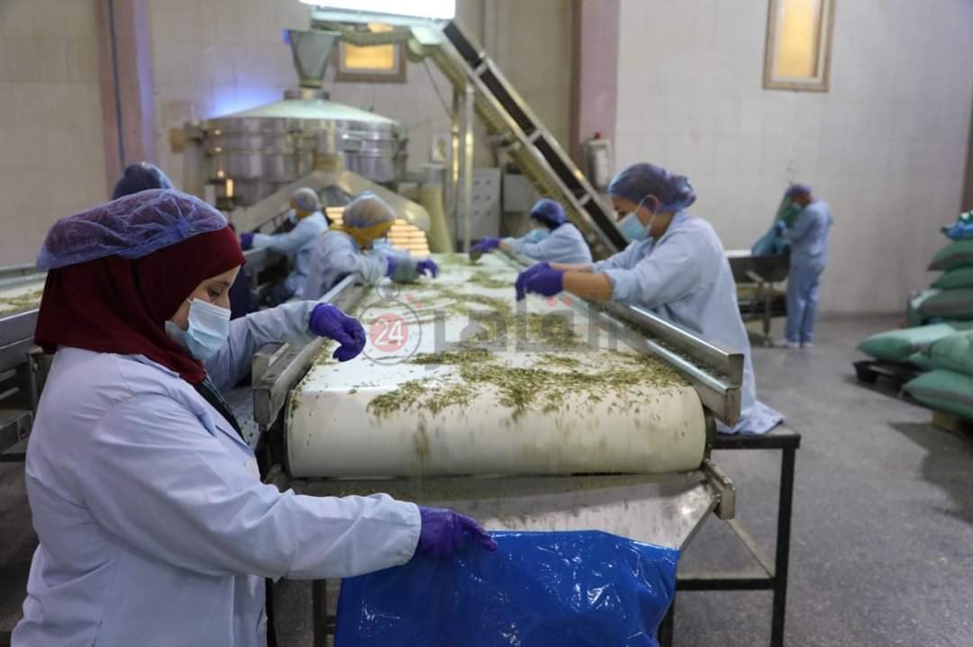 FB_IMG_1726924244422