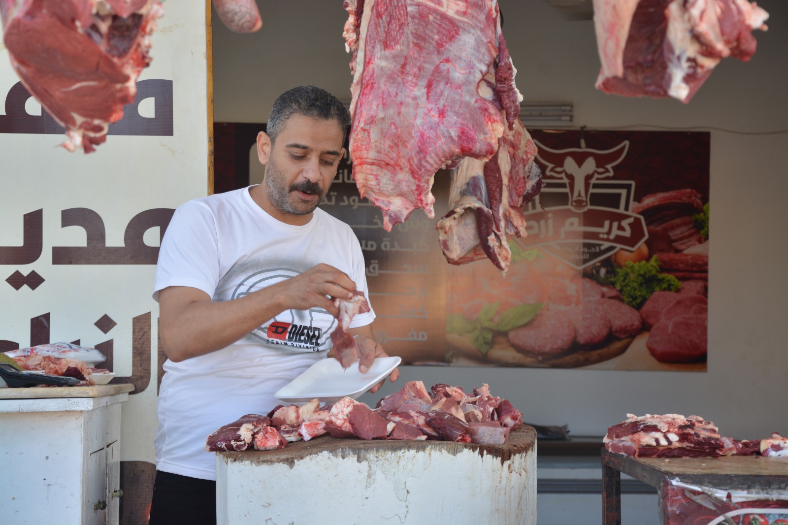 فاعليات مبادرة بداية ببورسعيد 