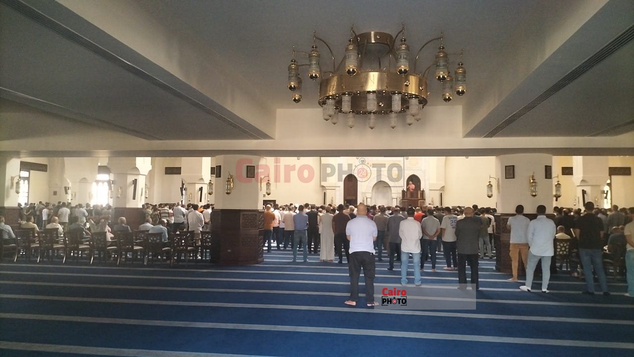 WhatsApp Image 2024-10-03 at 1.20.41 PM