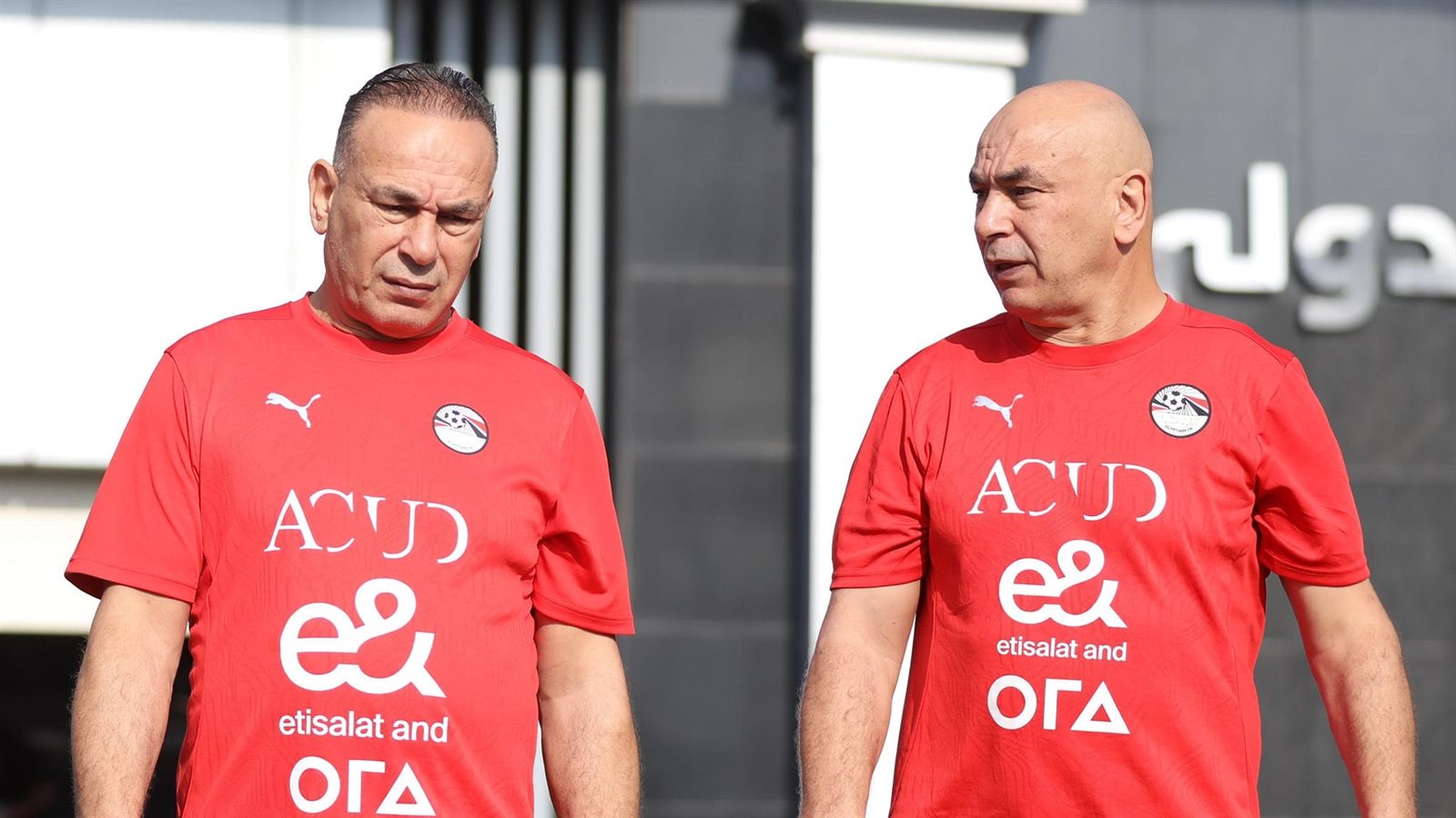 حسام وإبراهيم حسن