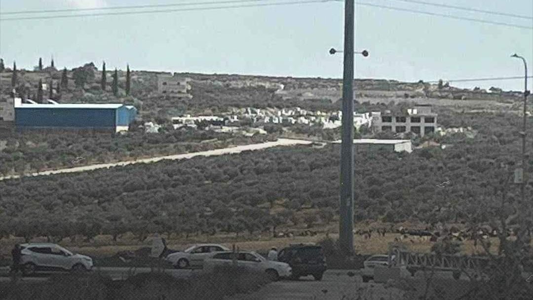 تفسير حلم موت الزوج&nbsp;