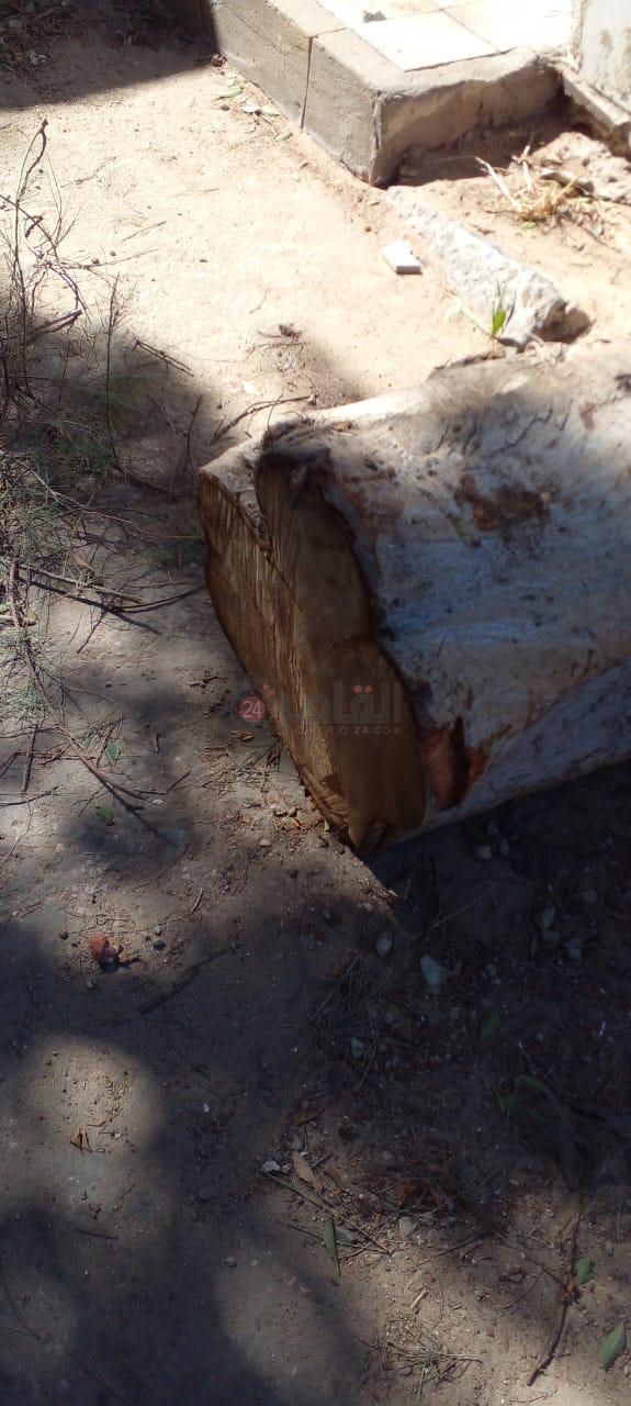 مقابر بورسعيد 