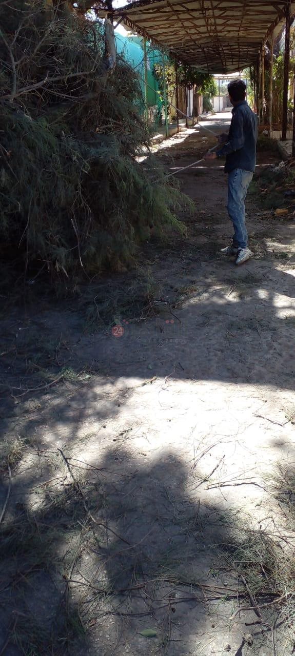 مقابر بورسعيد 