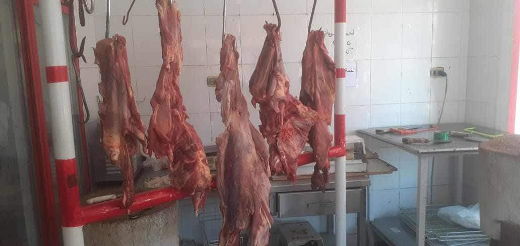 الحملات التموينية ببورسعيد 