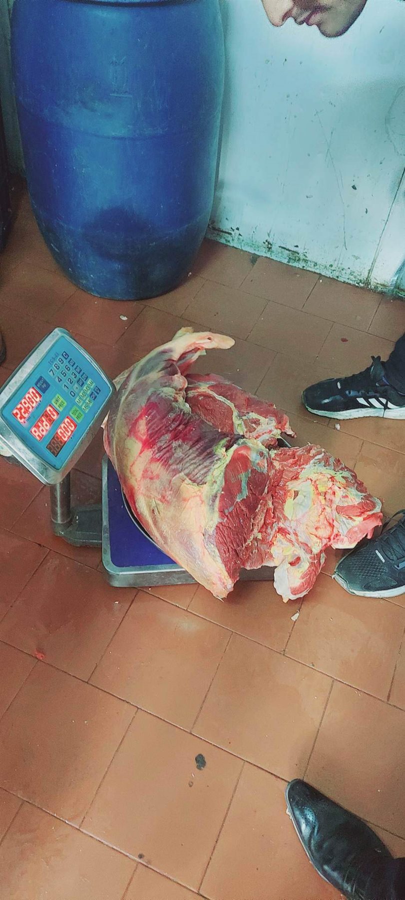 الحملات التموينية ببورسعيد 