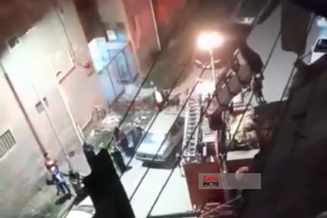 انقاذ قطة من السقوط من مرتفع ببورسعيد 