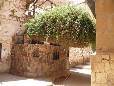 images - 2024-11-04T202629.179