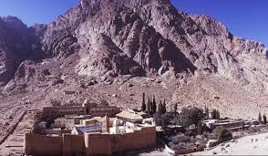 images - 2024-11-04T202140.730