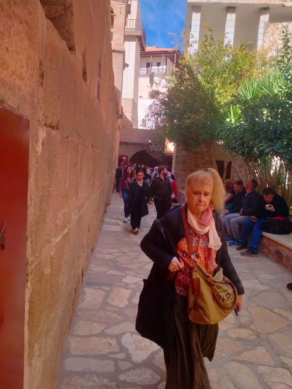 IMG-20241109-WA0011(1)