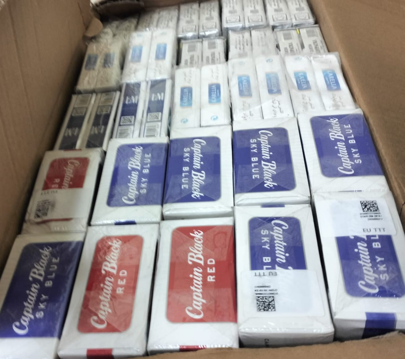 مضبوطات الحملة 