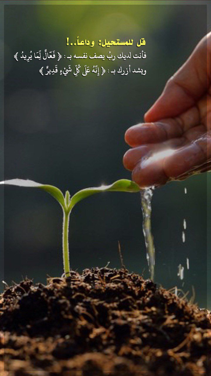 كلمات عن راحة البال بالصور