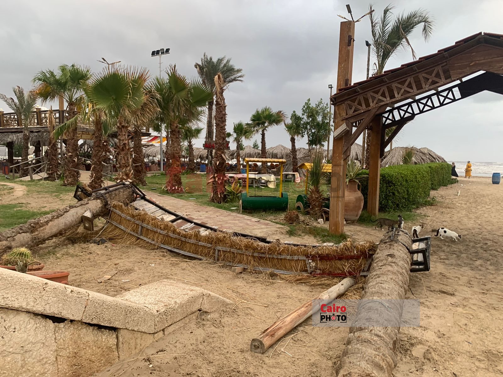 شاطئ بورسعيد 