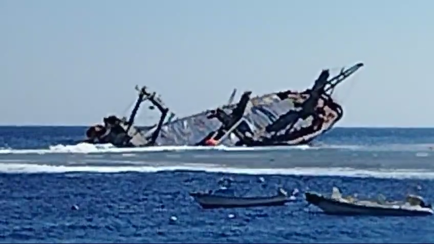 IMG_٢٠٢٤١٢٠٢_١١٠٨١٦٩٧