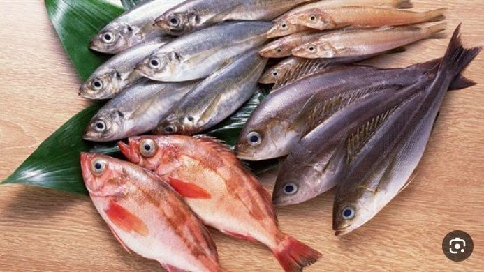 رؤية السمك في المنام للرجل الأعزب