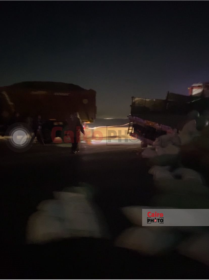 667e7fb2-e475-4eb8-867b-bb9720868fd3