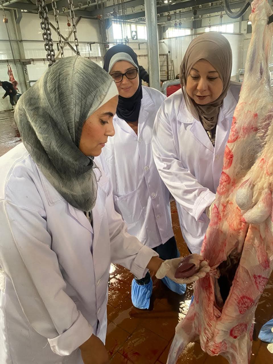 حملات تفتيشية ببورسعيد 