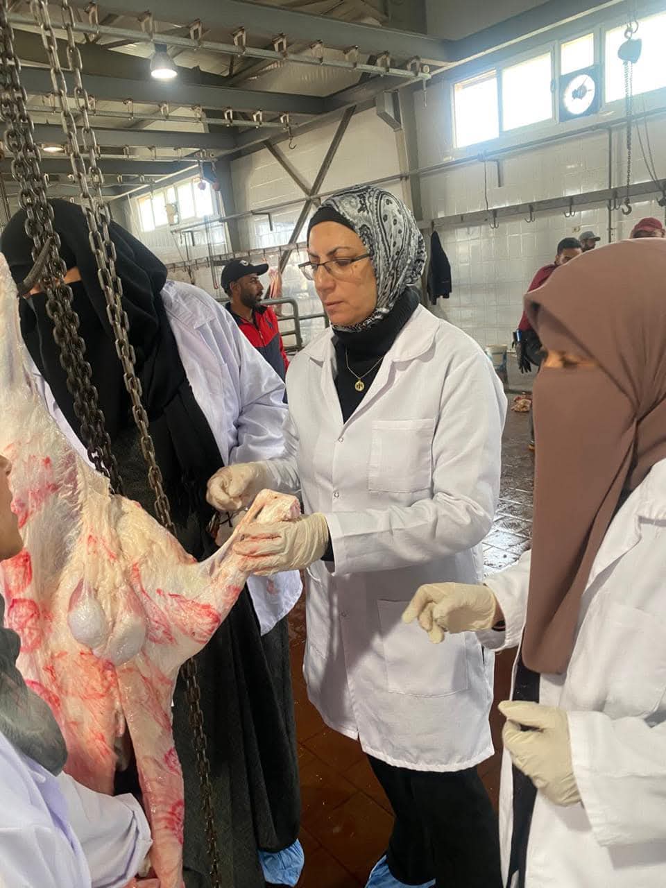 حملات تفتيشية ببورسعيد 