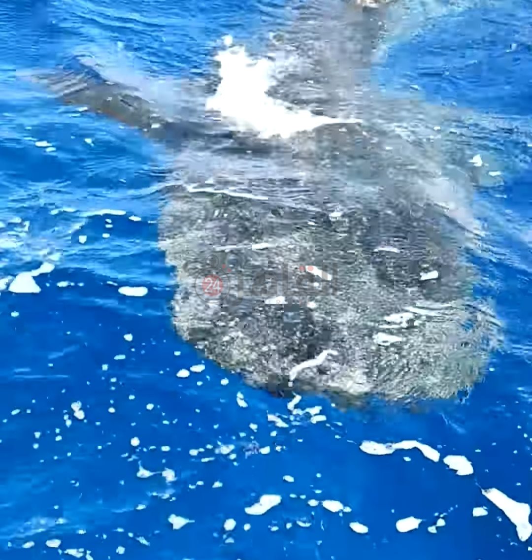 IMG_٢٠٢٤١٢١٧_١١٠٢٤٢