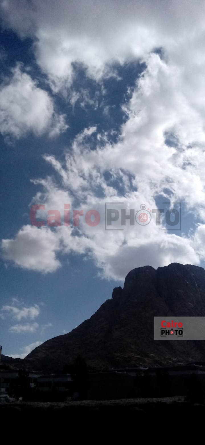 IMG-20241219-WA0028(1)