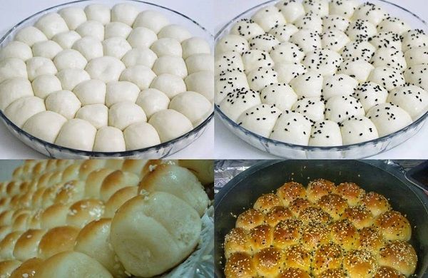 طريقة عمل خلية النحل