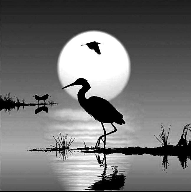 رسومات بالرصاص مناظر طبيعية