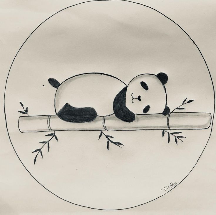 صور رسومات بالرصاص