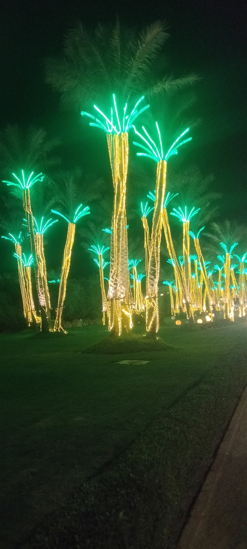 شرم الشيخ تتزين وتتجمل للاحتفال برأس السنة